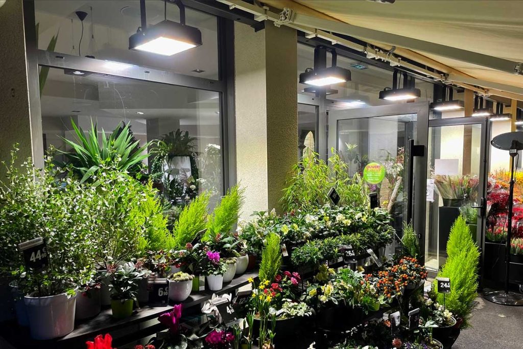 Series HB garden flood lights for plants shop lighting in French-1