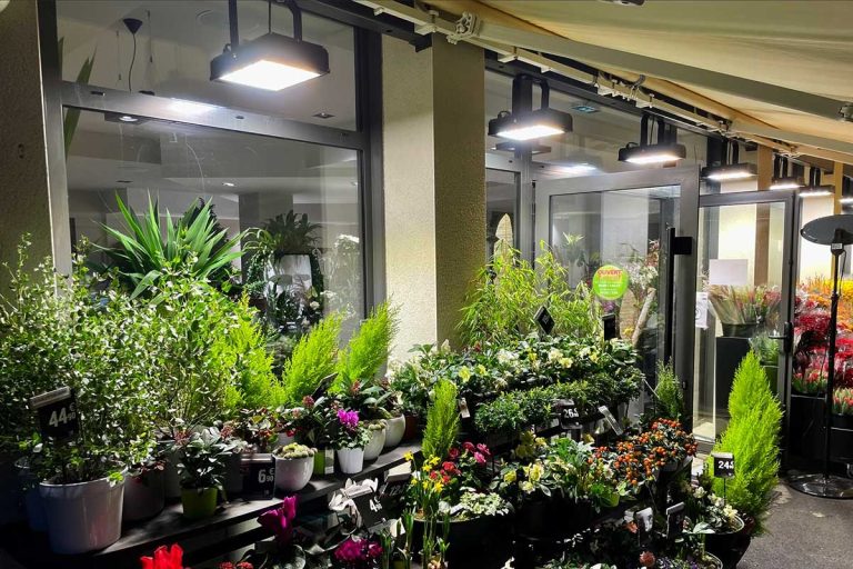 Series HB proyector para jardín para plantas iluminación de tiendas en francés